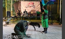 برگزاری اعزای حسینی در بوستان قصر منطقه هفت 25