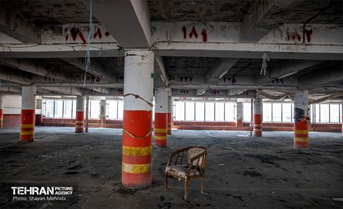 جای خالی پروانه ها 13