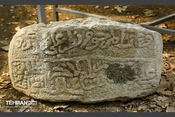 چهارمین جشنواره خرمالوی کن 4