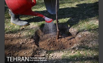 آیین درختکاری دوچرخه سواران تهران 25