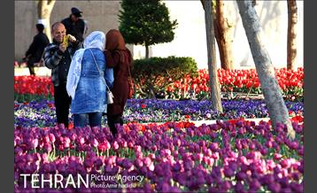 جشنواره لاله‌ها در بوستان زندگی محله هرندی 30