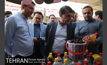 دومین جشنواره شاتوت دردهستان سولقان 6