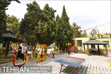 بوستان سنگی 18