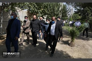 بازدید معاون فرهنگی شهردار تهران از منطقه خلازیر 5