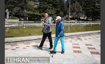 بوستان نیاوران در یک روز آفتابی 1