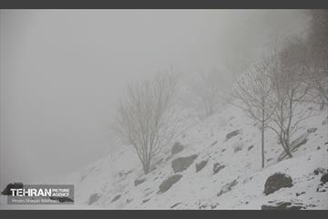 بارش برف زمستانی در تهران 27