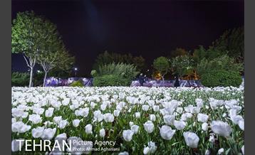 افتتاحیه مرکز بهاران بانوان منطقه دو 21