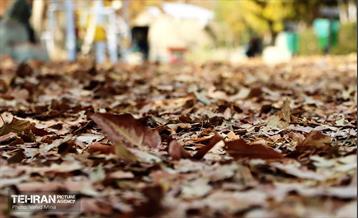 گذر پاییزی بوستان رازی 13