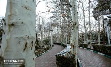 روز برفی در منطقه 8 21