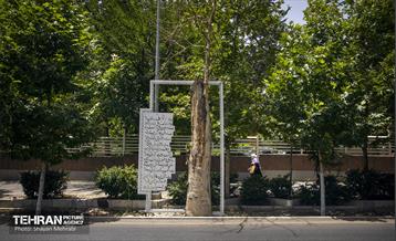 جان دوباره در درختستان 35