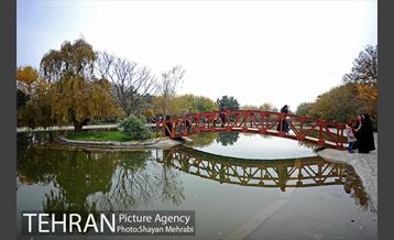 باغ گیاه‌شناسی ملی ایران 35