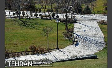 بوستان پلیس 41