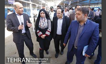 عرضه بهداشتی دام در جایگاه منطقه 2 شهرداری تهران  16