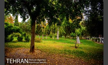 پاییز پارک شهر 19