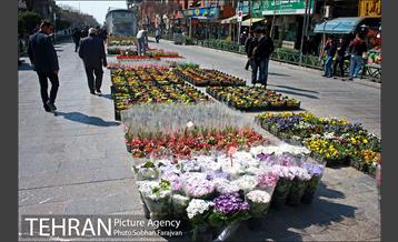 نمایشگاه گل و گیاه نوروزی در پیاده راه ۱۷ شهریور