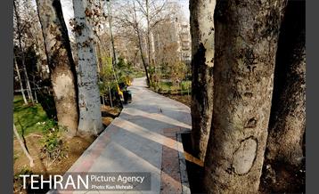 بوستان قلمستان 10