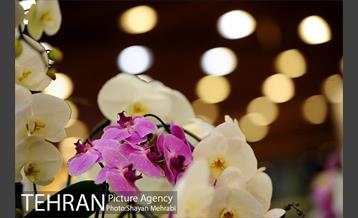 نمایشگاه گل و گیاه در بوستان گفتگو 43