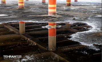 جای خالی پروانه ها 5