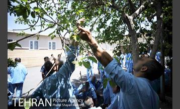 کمپ ترک اعتیاد آفتاب امید 16