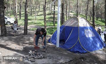 روز طبیعت در پارک جنگلی لویزان 23