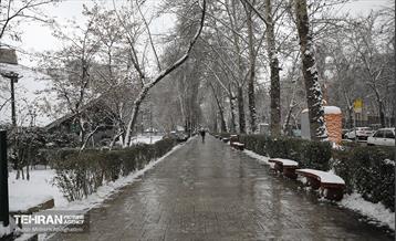روز برفی تهران - 2 41