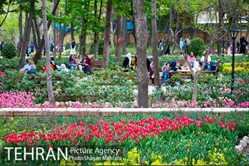 روش گل های لاله در باغ ایرانی 43