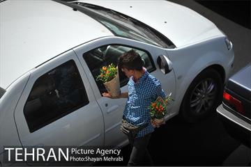 زندگی روزمره در میدان توحید 6