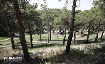 روز طبیعت در پارک جنگلی لویزان 44