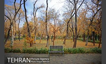 پاییز در پارک شهر 12