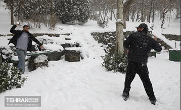 روز برفی تهران - 2 15