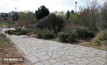 بهار در منطقه 18 34