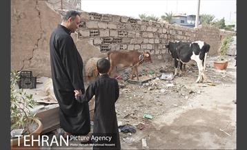 زائران اربعین حسینی 2 13