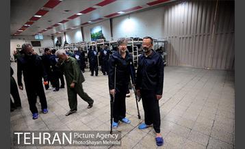 گرمخانه ها، دور از سرما 16