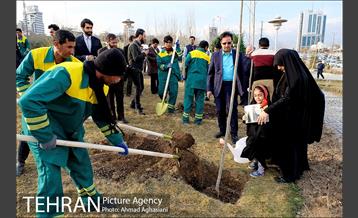 روز درختکاری در گنبد مینا 4