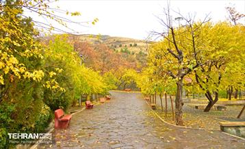 هوای پاییزی پایتخت 12