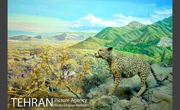 موزه حیات وحش هفت چنار 37