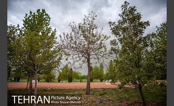 باغ گیاه‌شناسی ملی ایران 19