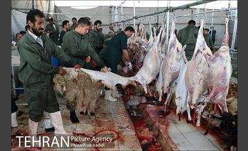 مراکز عرضه بهداشتی دام زنده 14