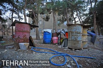 فراموش شدگان اداره منابع طبیعی در بوستان چیتگر 13