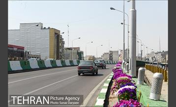 گل آرایی پل سیدخندان 29