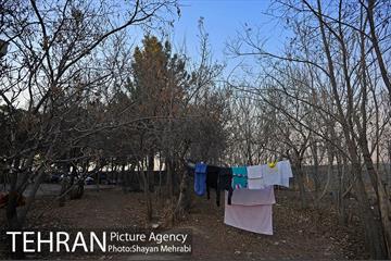فراموش شدگان اداره منابع طبیعی در بوستان چیتگر 16