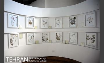 موزه گیاه شناسی دارآباد 15