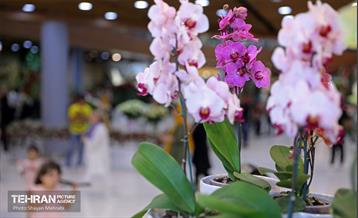 نوزدهمین نمایشگاه گل و گیاه تهران 20