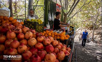 شهرنگار؛ درکه 16