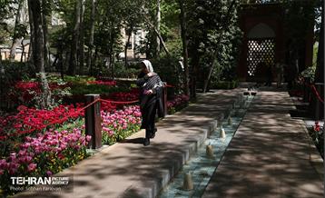 باغ ایرانی میزبان لاله‌ها 46