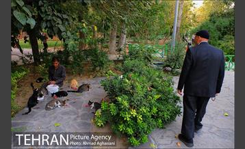 بوستان سهند 15