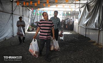 بازدید از مرکز عرضه بهداشتی دام ویژه عید قربان 37