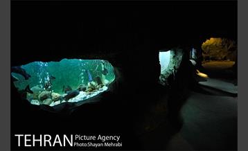 موزه حیات وحش هفت چنار 45