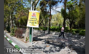 روز طبیعت متفاوت شهر تهران-1 42