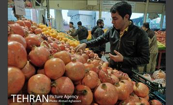 میدان میوه وتره بار شهید غیبی شهرری 7